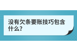 沭阳专业讨债公司有哪些核心服务？